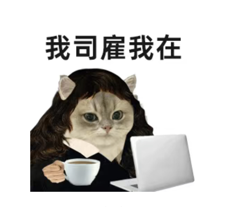 曲奇丸子